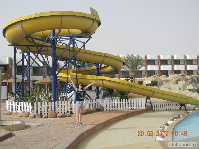 82061_z_17634603.jpg